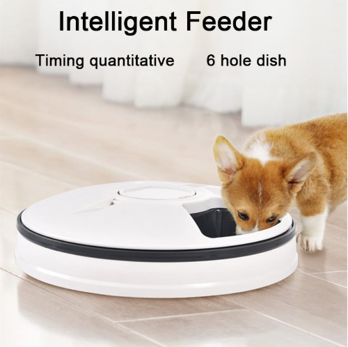 Automatic Pet Feeder with Voice Recorder and 6 Grids
