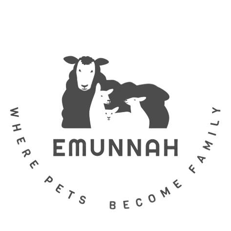 Emunnah